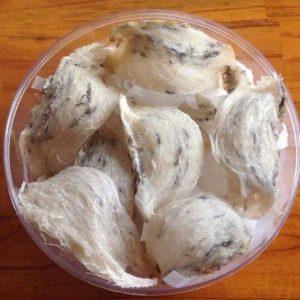 Tổ Yến Thô Loại 1