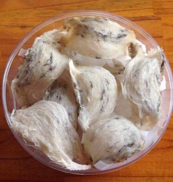 Tổ Yến Thô Loại 1